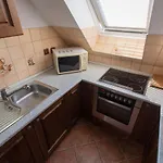 Homestay Svetluska *
